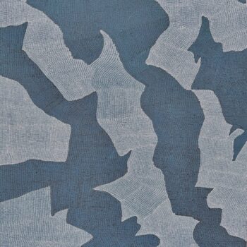 The Seagulls and Cormack Birds 5870-21